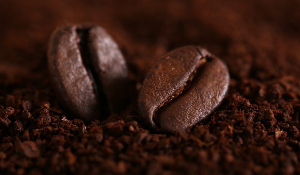 Are Coffee Grounds Good for Avocado Trees? Think Avocado