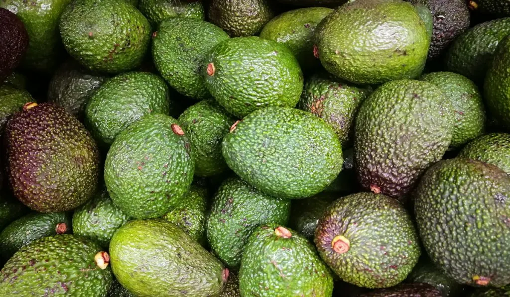 hard avocados