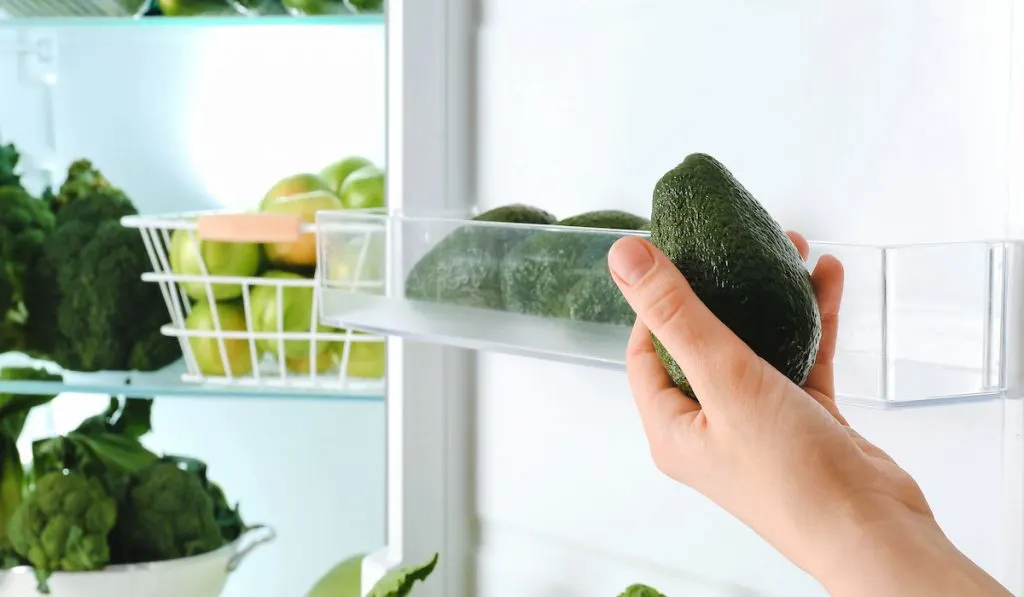 putting avocado in fridge