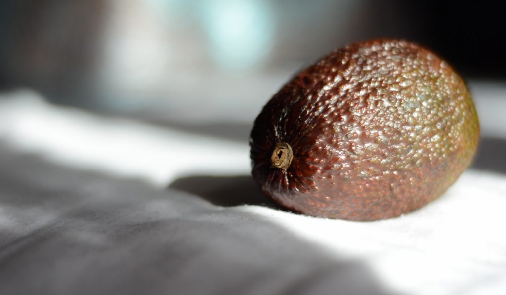 riping avocado by sunlight