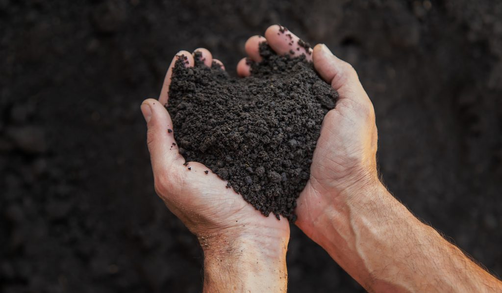 soil on hand