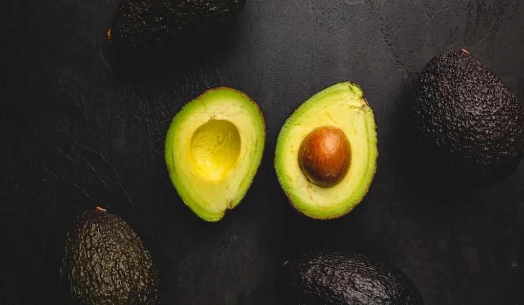 fresh avocado halved