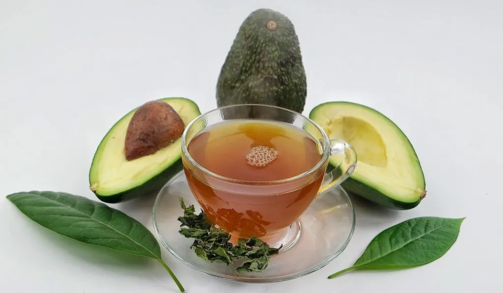 avocado tea