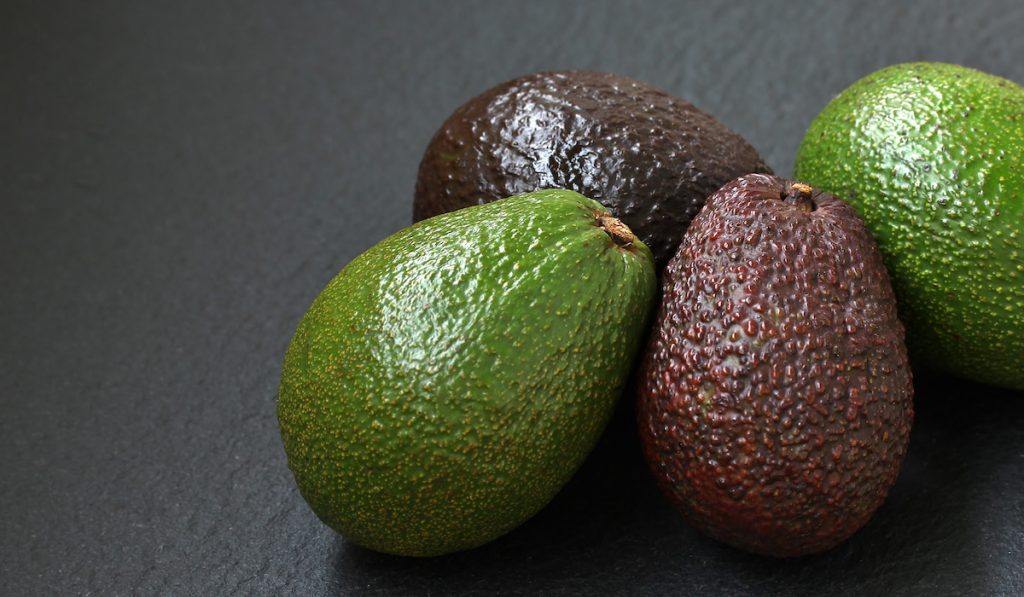 variety of avocado