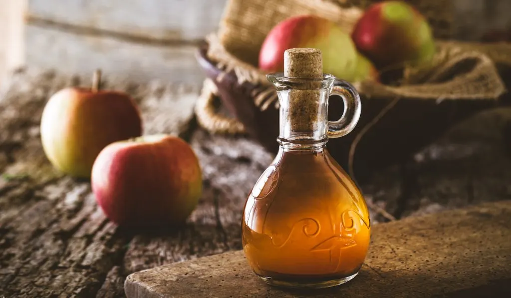 apple cider vingegar