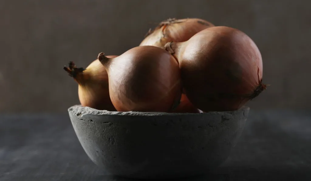 bowl of unpeeled onions