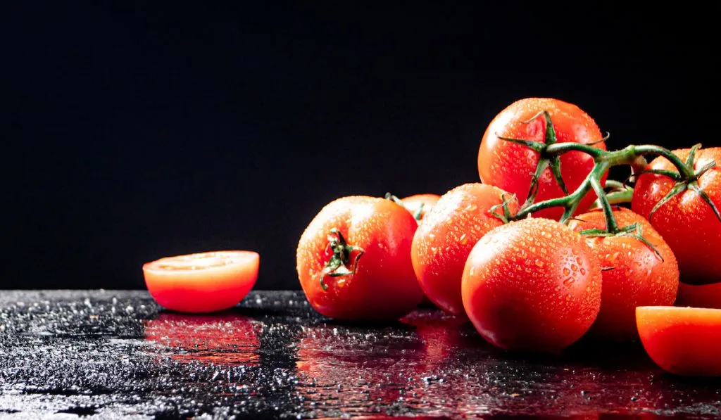 ripe fresh tomatoes