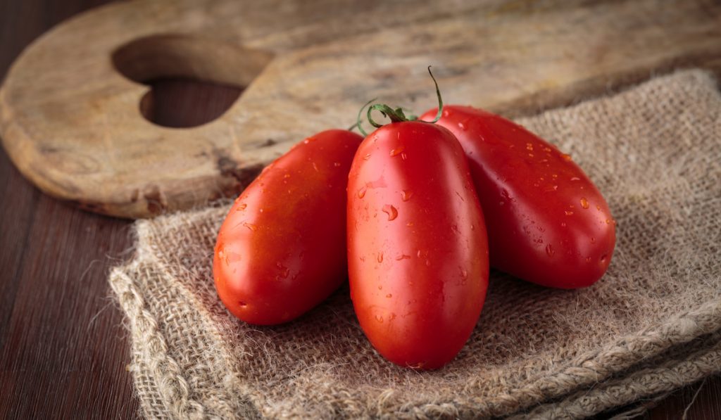 san marzano tomatoes